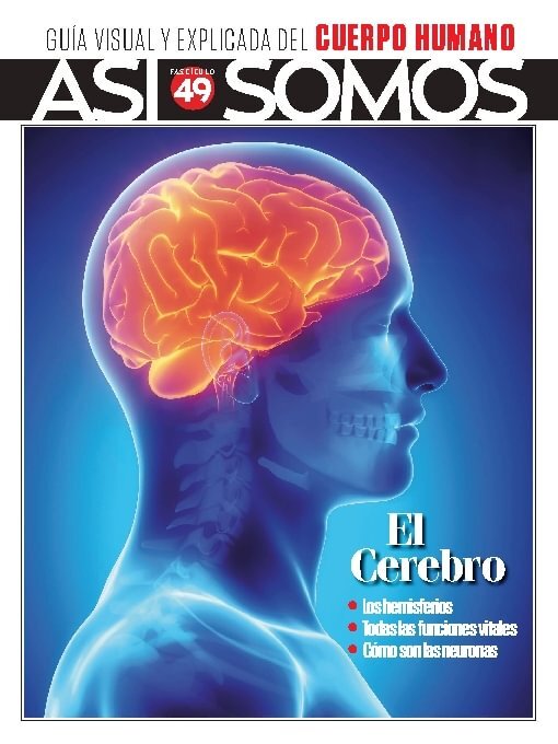 Title details for Así Somos - El cuerpo humano by Media Contenidos - Available